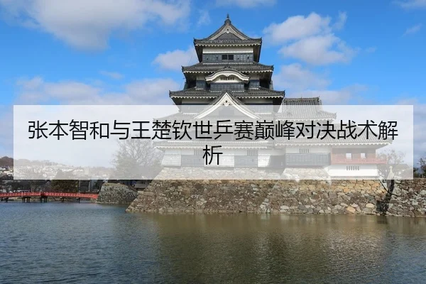张本智和与王楚钦世乒赛巅峰对决战术解析
